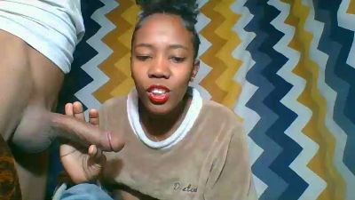 Picardie19 webcam model stream image