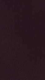 Scalareale66 webcam model stream image