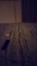 Scalareale66 webcam model stream image