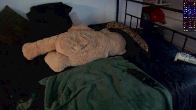 ThePassengerx webcam model stream image