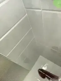 Achrafsad9i webcam model stream image