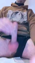 Timido838 webcam model stream image