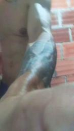 david007xd webcam model stream image