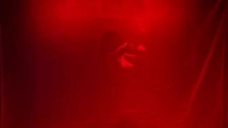 Rebel--Stage webcam model stream image