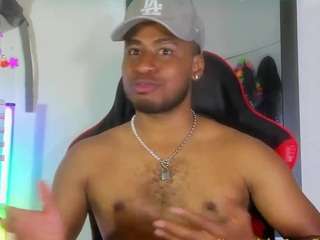 prince-gemini webcam model stream image