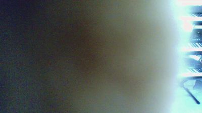 pacha2014 webcam model stream image