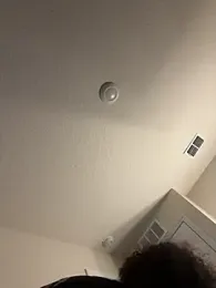 shurthingx webcam model stream image