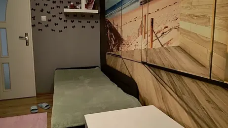 ViktoriaSilk webcam model stream image