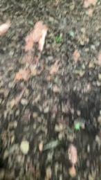 bigloaditaly webcam model stream image