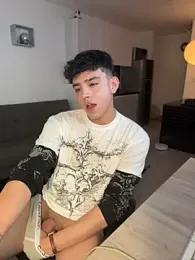 aronnhidden webcam model stream image