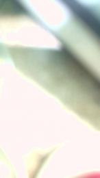 Fuckerfemal webcam cam4 model stream image