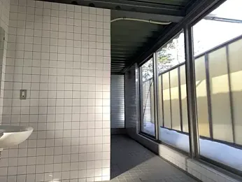 ge3noxxx webcam model stream image