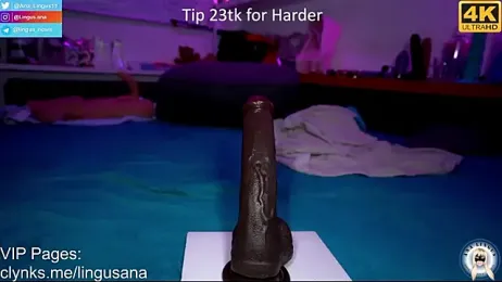 Ana_Lingus webcam model stream image