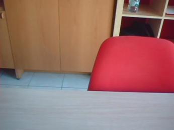 i2Pinguini webcam model stream image
