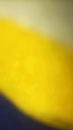 Lechero1233 webcam model stream image