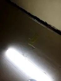 YKTV_ webcam model stream image