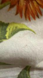 koko094 webcam model stream image