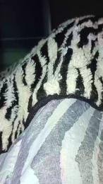 KTrashMilf webcam model stream image