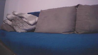 wir2real webcam model stream image