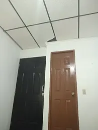 Rosegold8 webcam model stream image