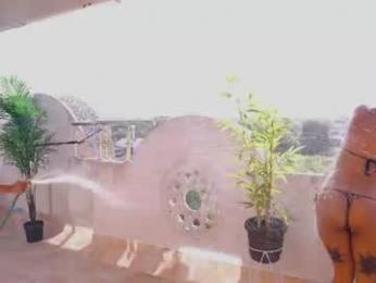 wayuu_goddess webcam model stream image