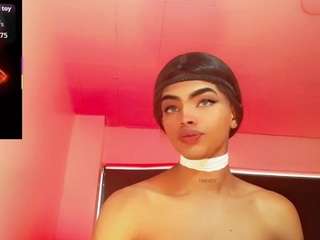 kendall-hornye webcam model stream image