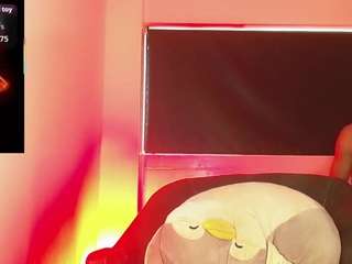 kendall-hornye webcam model stream image