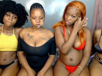 Royal309 webcam model stream image