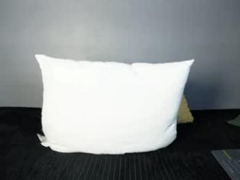 bruce_hans webcam model stream image
