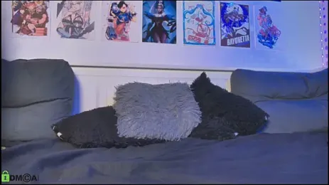 snowblack_ webcam model stream image