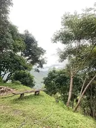 sky-wolves webcam model stream image