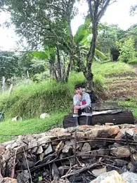 sky-wolves webcam model stream image