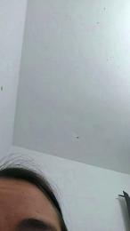 kittenhorny webcam model stream image