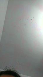 kittenhorny webcam model stream image