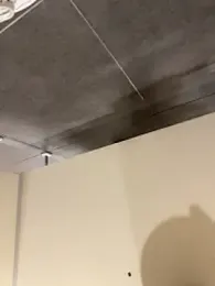 Turkishleo webcam stripchat model stream image