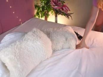islandladies chaturbate stream image, 24.05.2025 04:10
