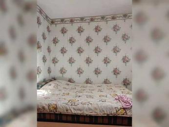 Alisa-33 bongacams stream image