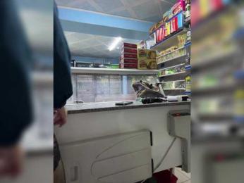 praesertim bongacams stream image, 27.05.2025 00:20