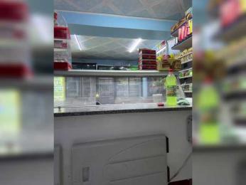 praesertim bongacams stream image, 30.05.2025 23:00