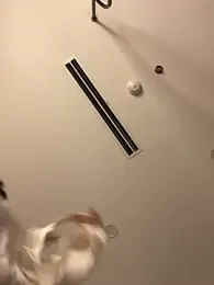 MEOW_MEO stripchat stream image