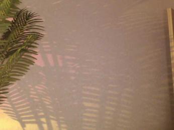 Maribett bongacams stream image, 06.06.2025 21:40