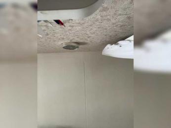 -Hennessy- bongacams stream image