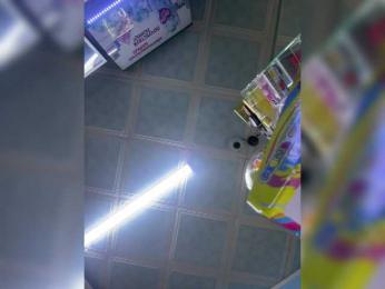 praesertim bongacams stream image, 10.02.2025 23:20