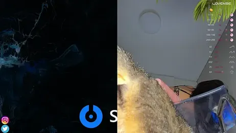 Mary_Lise stripchat stream image, 21.06.2025 20:20