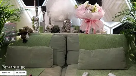 taanni_bc stripchat stream image