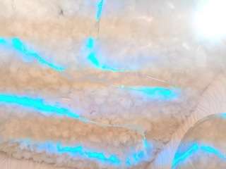 begoniia camsoda stream image, 12.02.2025 07:50