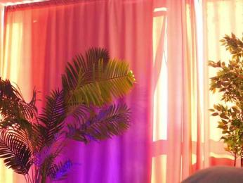 ArtTeasee bongacams stream image, 12.02.2025 10:30
