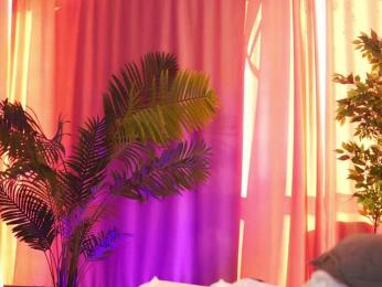 ArtTeasee bongacams stream image, 12.02.2025 10:30