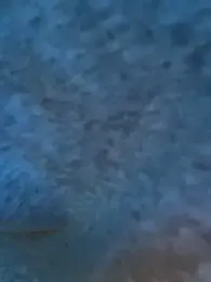 miacanela_xo stripchat stream image