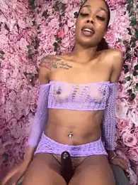 mismialove stripchat stream image, 27.07.2025 04:30